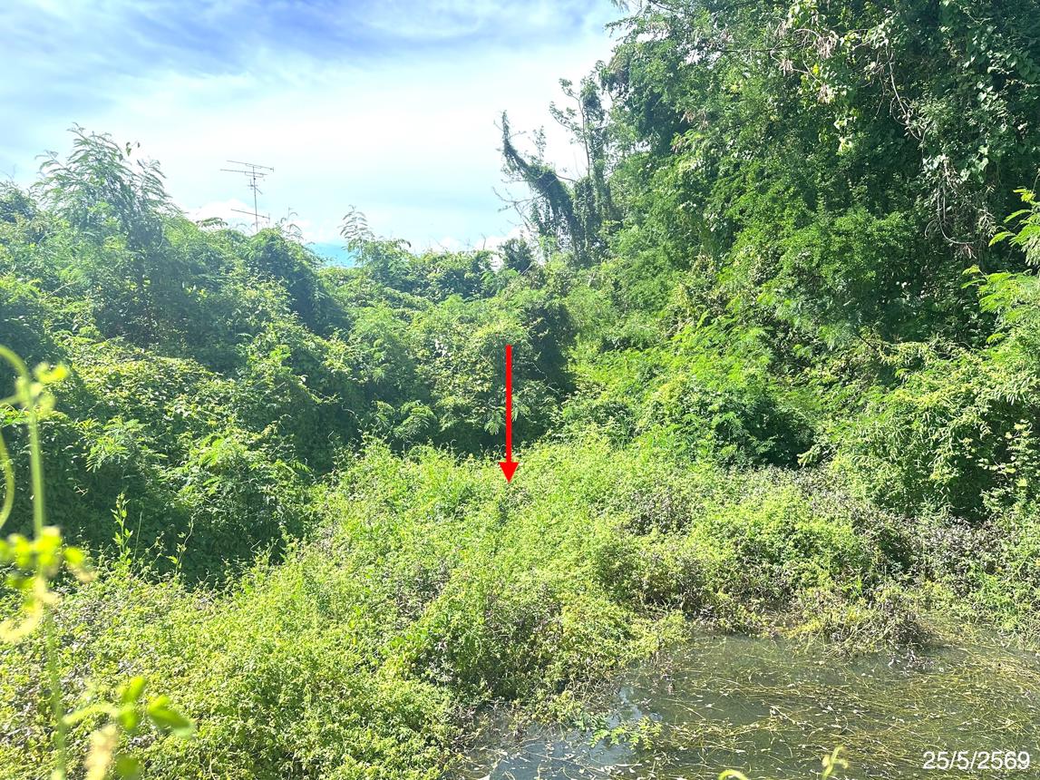 picture LAND 220 Sq.w. Thap Khlo Phichit for 1.3M - 15/19