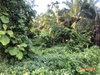 listing thumbnail image 13