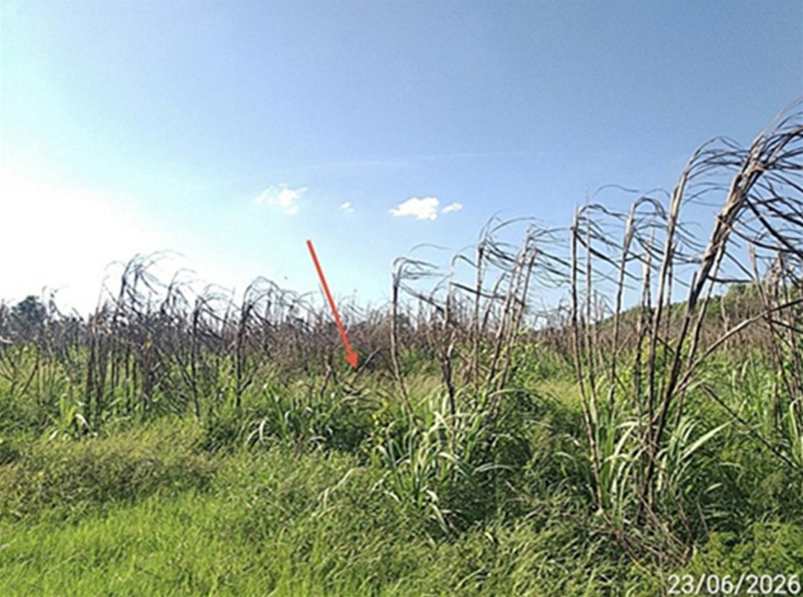 picture LAND 8416.6 Sq.w. Aranyaprathet Srakaeo for 9.4M - 19/25