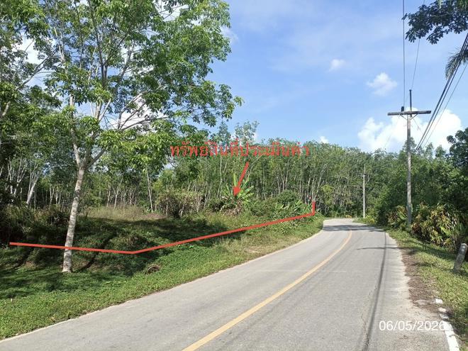 รูป ที่ดินว่างเปล่า 3226.4 ตร.วา ห้วยยอด ตรัง 2.4M - รูปที่ 2/19