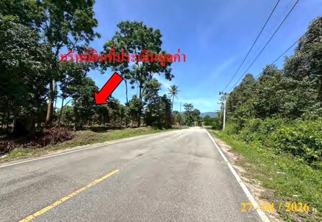 รูป ที่ดินว่างเปล่า 440 ตร.วา ศรีสาคร นราธิวาส 660,000 - รูปที่ 4/15