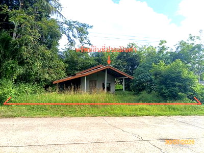 บ้านเดี่ยว ตรัง : บ้านเดี่ยว 163.3 ตร.วา รัษฎา ตรัง 864,000