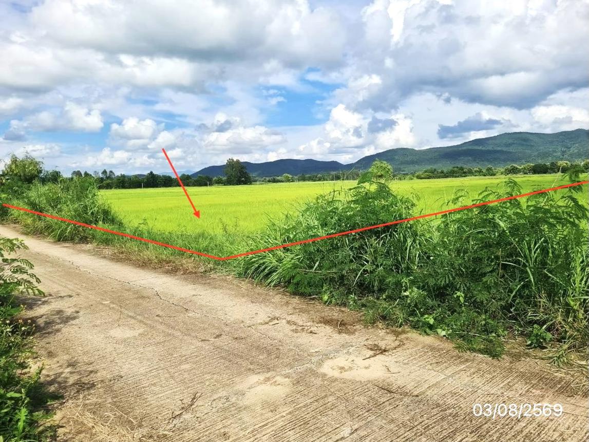 picture LAND 2203 Sq.w. Chun Phayao for 1.7M - 12/21