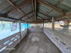 listing thumbnail image 27