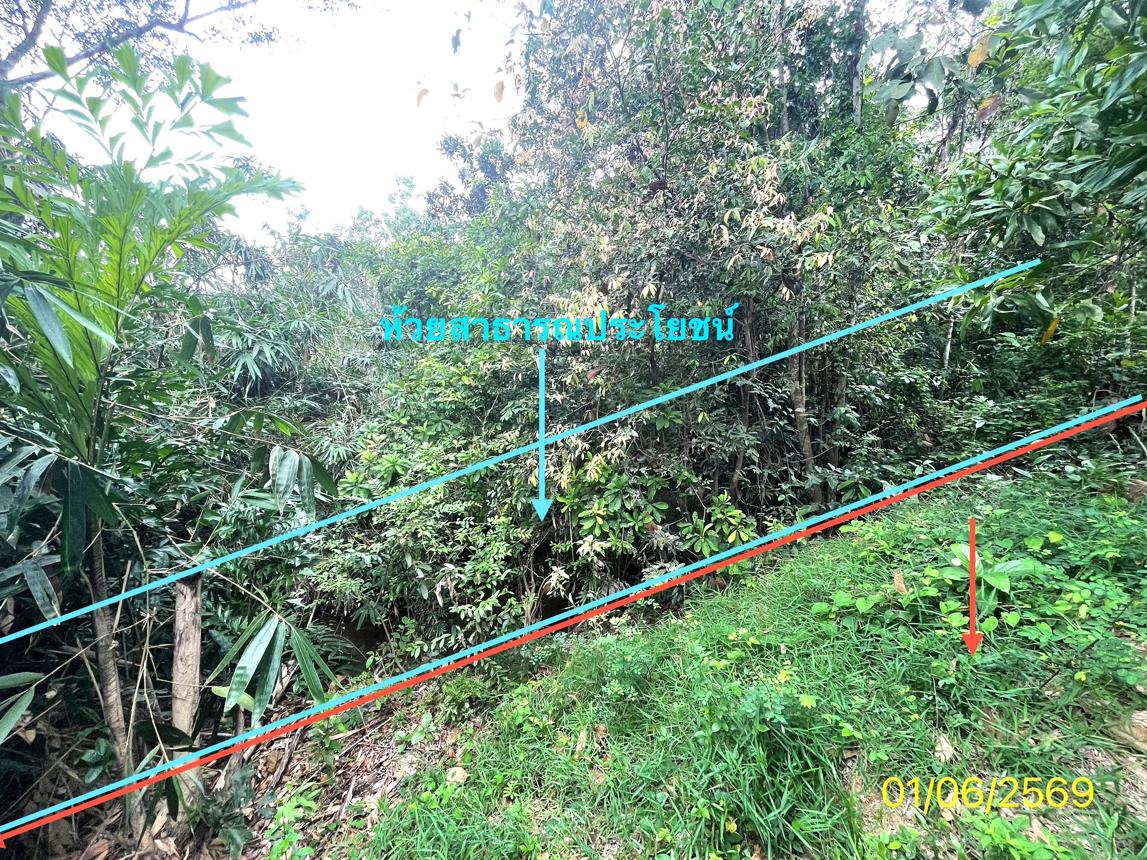 picture LAND 358.5 Sq.w. Hat Yai Songkhla for 2.1M - 19/25