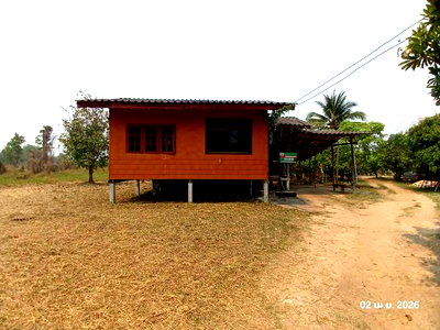 บ้านเดี่ยว ลำพูน : บ้านเดี่ยว 961 ตร.วา เมืองลำพูน ลำพูน 2.5M