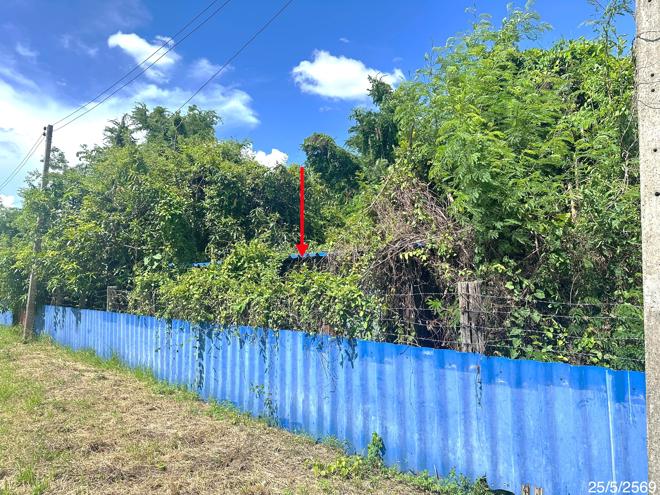 picture LAND 220 Sq.w. Thap Khlo Phichit for 1.3M - 2/19