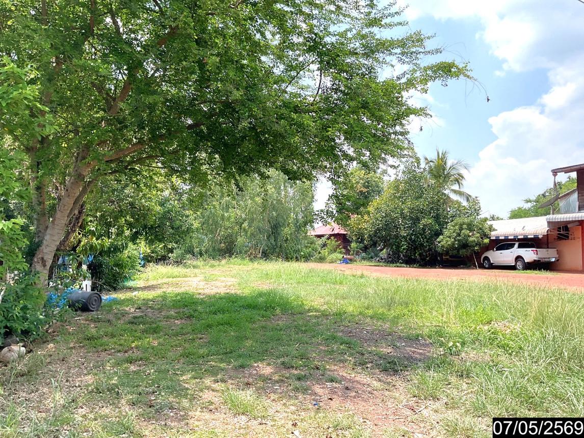 รูป ที่ดินว่างเปล่า 256 ตร.วา ศรีวิไล บึงกาฬ 1.6M - รูปที่ 10/15
