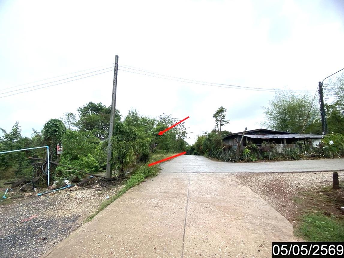 picture LAND 18631 Sq.w. Na Duang Loei for 5.5M - 10/17