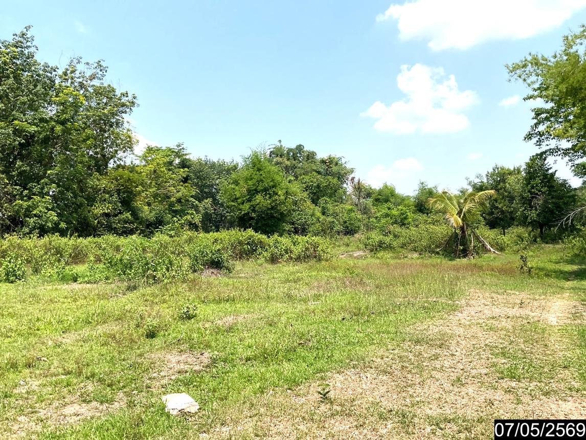 รูป ที่ดินว่างเปล่า 2302 ตร.วา ศรีวิไล บึงกาฬ 5.8M - รูปที่ 16/25