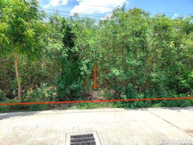 picture LAND 292 Sq.w. Muang Lop Buri Lopburi for 1.6M - 5/13