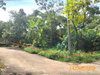 listing thumbnail image 8