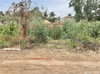 listing thumbnail image 12