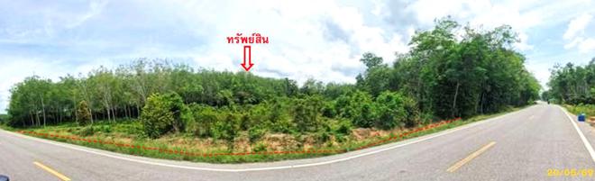 รูป สวนเกษตร 1539 ตร.วา แม่ลาน ปัตตานี 1.4M - รูปที่ 2/23