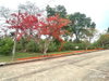 listing thumbnail image 10