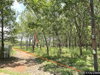 listing thumbnail image 21