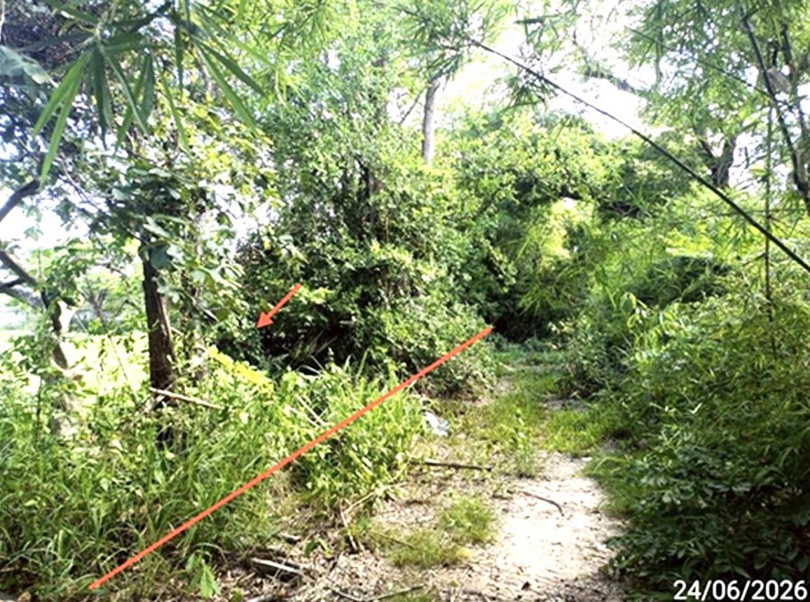 รูป ที่ดินว่างเปล่า 791.6 ตร.วา เมืองมหาสารคาม มหาสารคาม 4.9M - รูปที่ 13/19