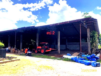 โรงงาน เมืองสุราษฎร์ธานี สุราษฎร์ธานี : อาคารโรงงาน 3273.1 ตร.วา เมืองสุราษฎร์ธานี สุราษฎร์ธานี 8.9M