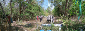 picture PROPERTY 21178 Sq.w. Watthana Nakhon Srakaeo for 81.5M - 10/20