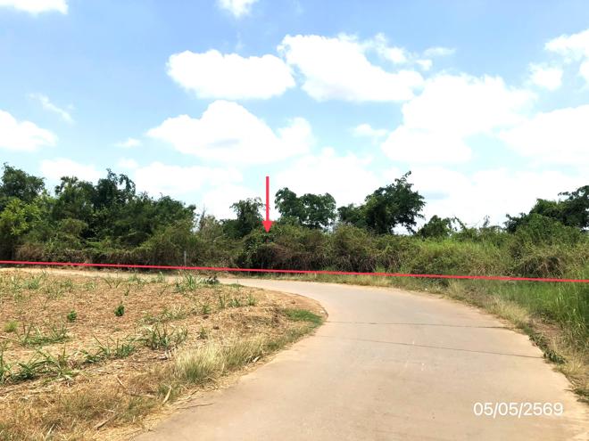 picture LAND 1271.2 Sq.w. Sawankhalok Sukhothai for 4.2M - 2/21