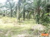 listing thumbnail image 4