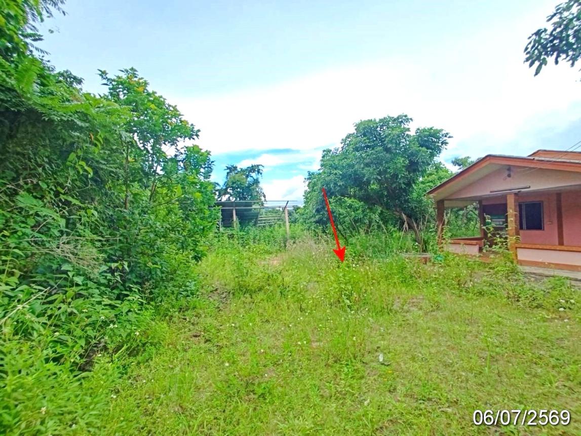 รูป บ้านเดี่ยว 205 ตร.วา พร้าว เชียงใหม่ 781,000 - รูปที่ 18/25