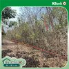 listing thumbnail image 14
