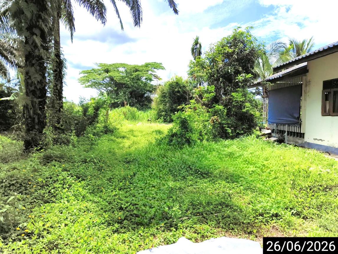 picture LAND 67 Sq.w. Chaiya Surat Thani for 359,000 - 11/15