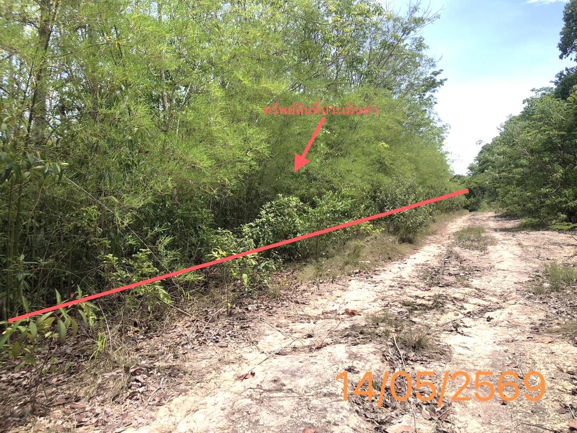 รูป ที่ดินว่างเปล่า 4370 ตร.วา คลองท่อม กระบี่ 35.8M - รูปที่ 12/21