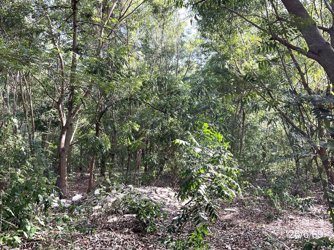 รูป ที่ดินว่างเปล่า 3045 ตร.วา เมืองชัยภูมิ ชัยภูมิ 4.3M - รูปที่ 13/21