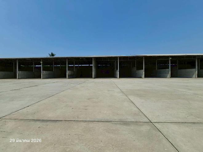 รูป บ้านเดี่ยว 6918 ตร.วา บึงสามัคคี กำแพงเพชร 11.1M - รูปที่ 25/107