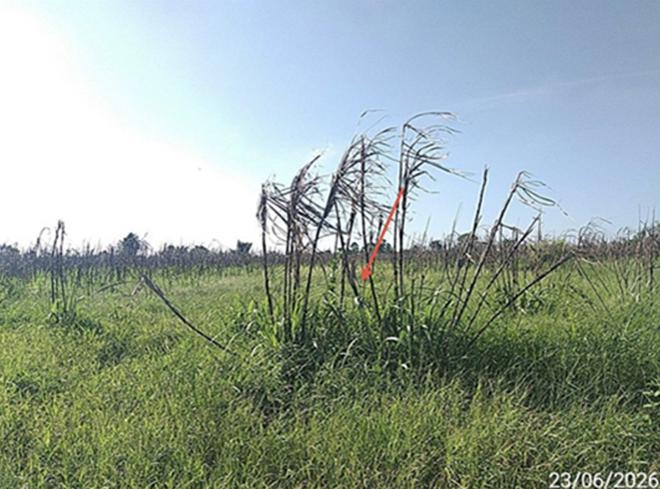 picture LAND 8416.6 Sq.w. Aranyaprathet Srakaeo for 9.4M - 6/25