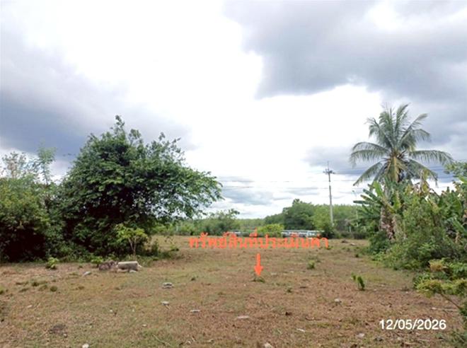 รูป ที่ดินว่างเปล่า 1678.6 ตร.วา เมืองนครศรีธรรมราช นครศรีธรรมราช 10.9M - รูปที่ 6/19
