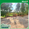 listing thumbnail image 20
