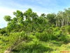 listing thumbnail image 18