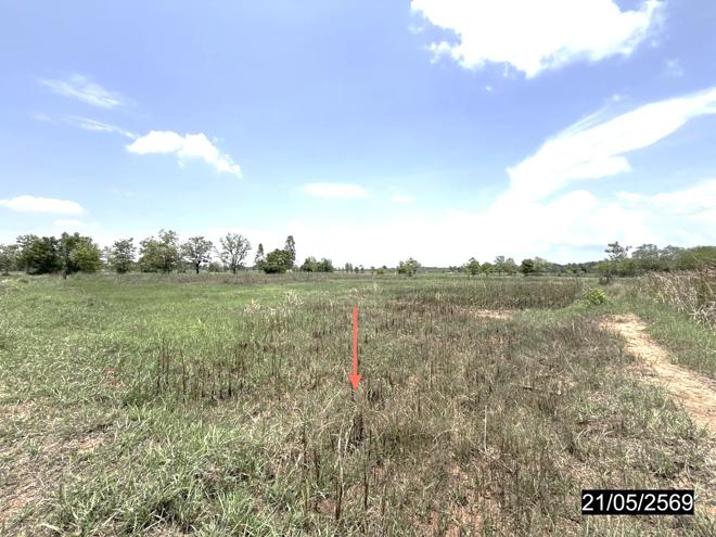รูป ที่ดินว่างเปล่า 10280 ตร.วา ยางตลาด กาฬสินธุ์ 11M - รูปที่ 8/25