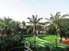 listing thumbnail image 18