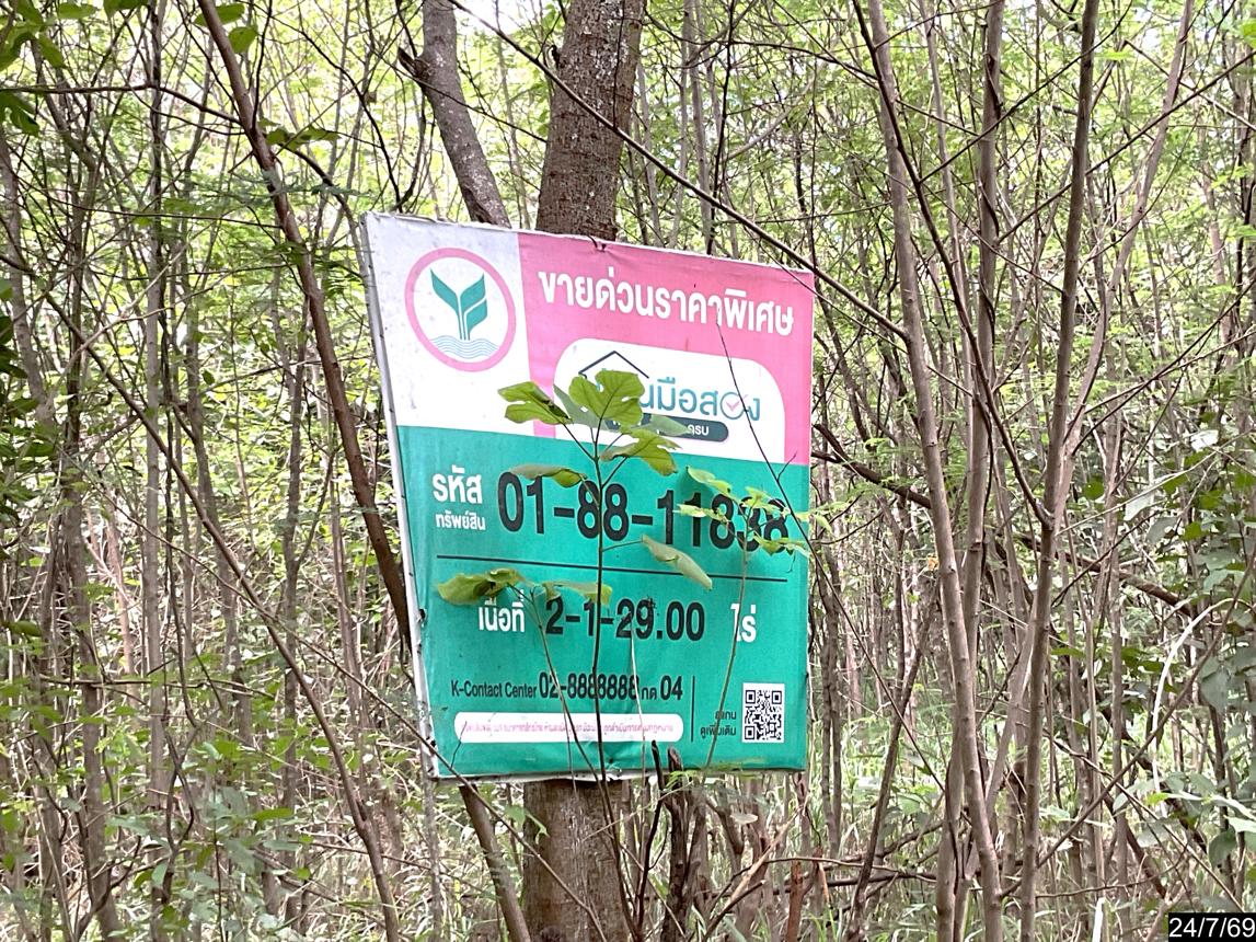 picture LAND 929 Sq.w. Pak Chong Nakhon Ratchasima for 4.4M - 12/19