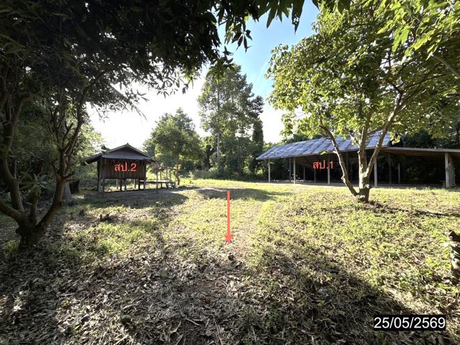 รูป บ้านเดี่ยว 1049 ตร.วา ยางตลาด กาฬสินธุ์ 1.1M - รูปที่ 6/21