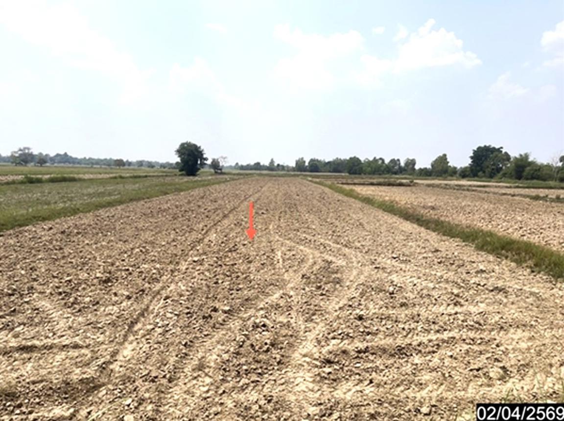 รูป ที่ดินว่างเปล่า 1315 ตร.วา หนองกุงศรี กาฬสินธุ์ 704,000 - รูปที่ 14/19