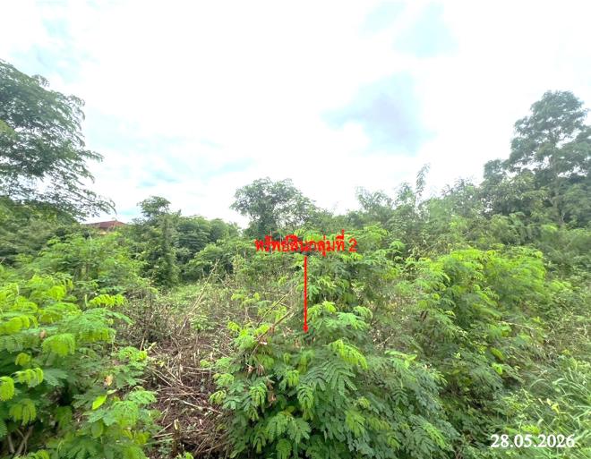 picture LAND 953.8 Sq.w. Muang Uttaradit Uttaradit for 7.7M - 8/25