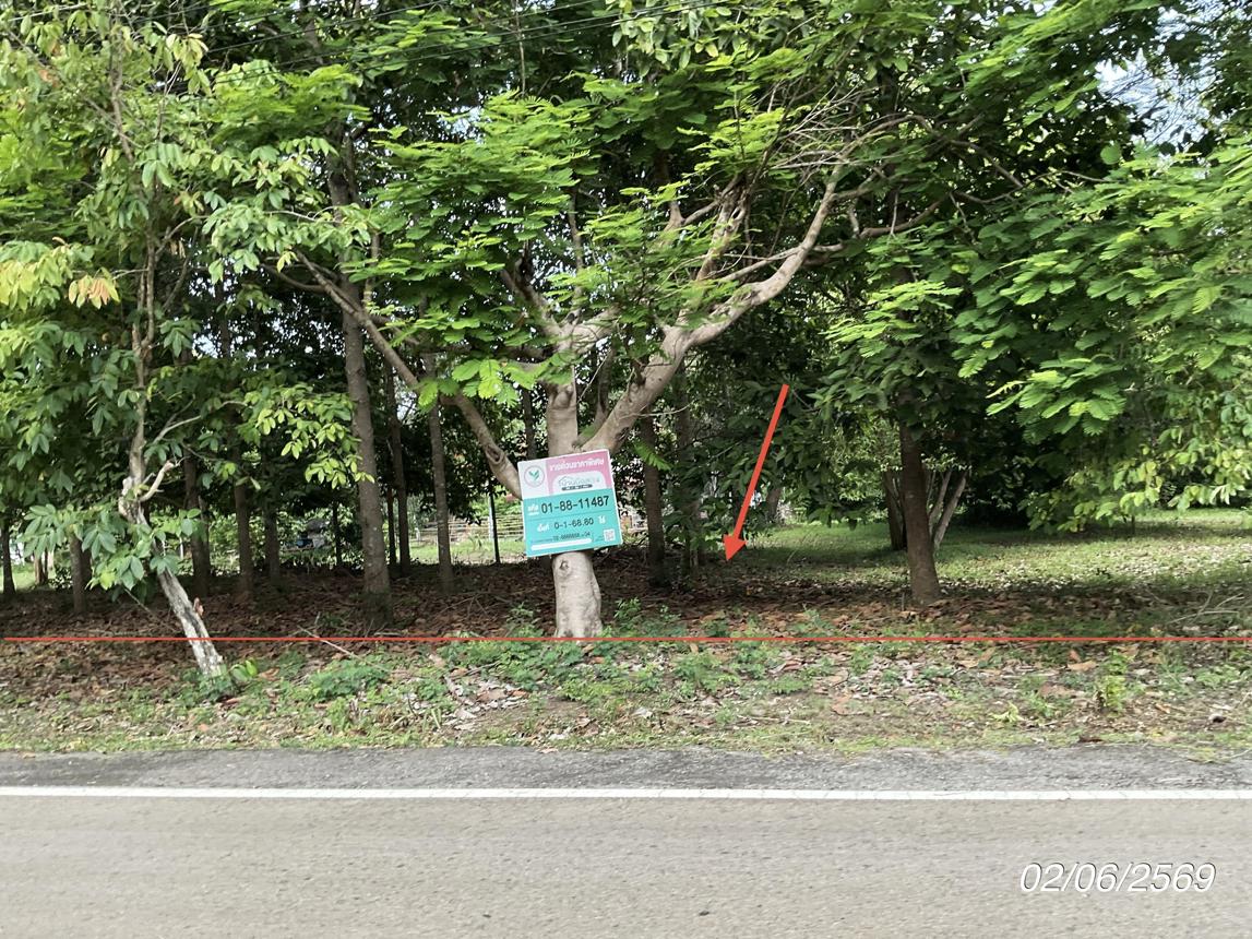 picture LAND 168.8 Sq.w. Na Di Prachinburi for 902,000 - 9/19
