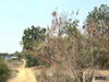 listing thumbnail image 16