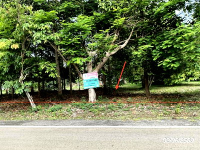 Land for sale Na Di Prachinburi : LAND 168.8 Sq.w. Na Di Prachinburi for 902,000