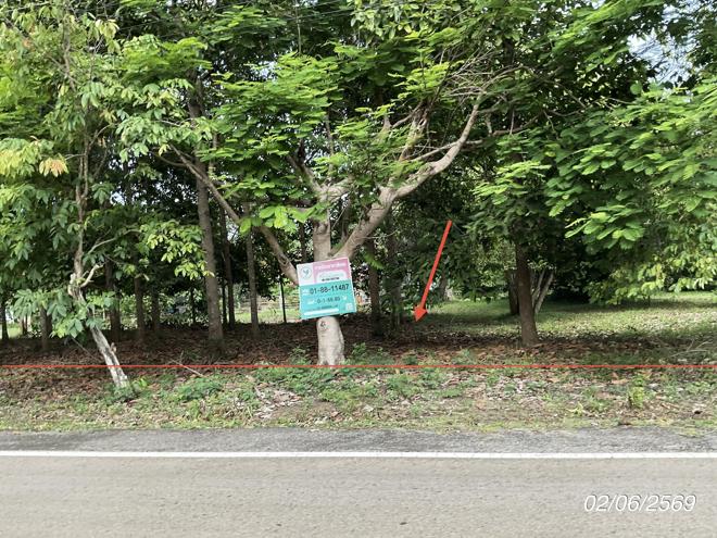 picture LAND 168.8 Sq.w. Na Di Prachinburi for 902,000 - 1/19