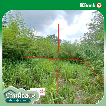 รูป ที่ดินว่างเปล่า 238 ตร.วา วังม่วง สระบุรี 418,000 - รูปที่ 9/11