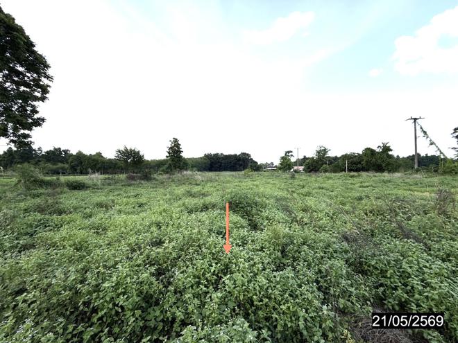 รูป ที่ดินว่างเปล่า 2522 ตร.วา ยางตลาด กาฬสินธุ์ 2.1M - รูปที่ 9/25
