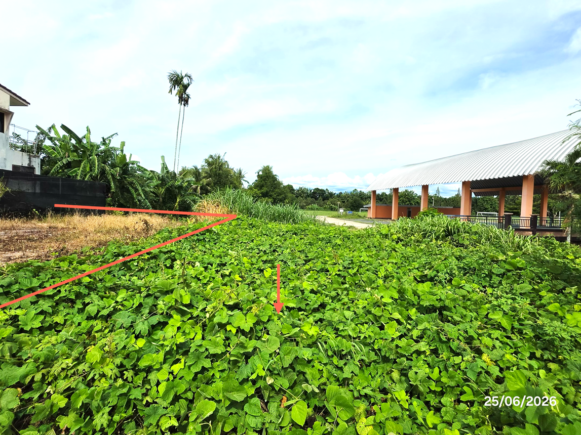 รูป ที่ดินว่างเปล่า 442 ตร.วา กาญจนดิษฐ์ สุราษฎร์ธานี 1.9M - รูปที่ 16/25