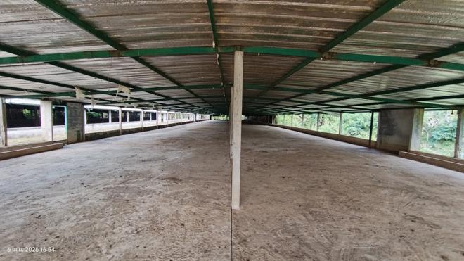 รูป ฟาร์ม 3464 ตร.วา สทิงพระ สงขลา 6.9M - รูปที่ 11/41