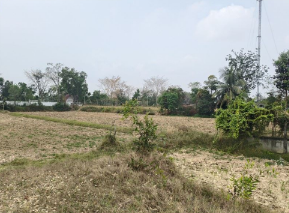 รูป ที่ดินว่างเปล่า 1817 ตร.วา โครงการ ชุมชนบ้านตะโนน สุรินทร์ ศรีณรงค์ สุรินทร์ 2.6M - รูปที่ 6/8